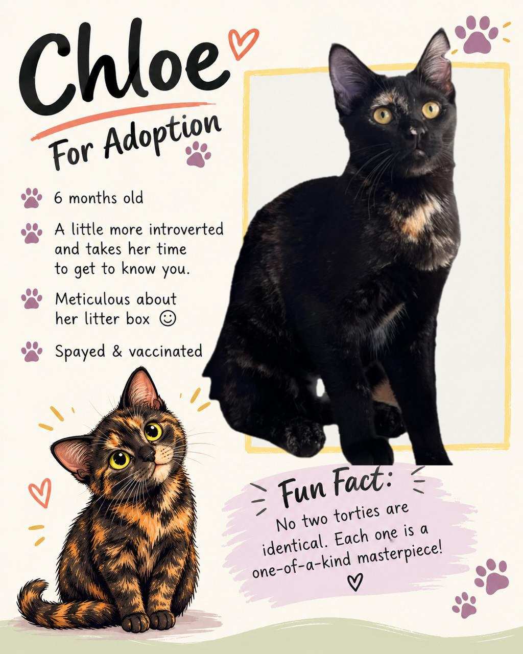 Chloe