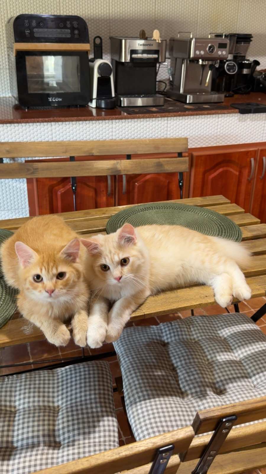 SUNY and honey
