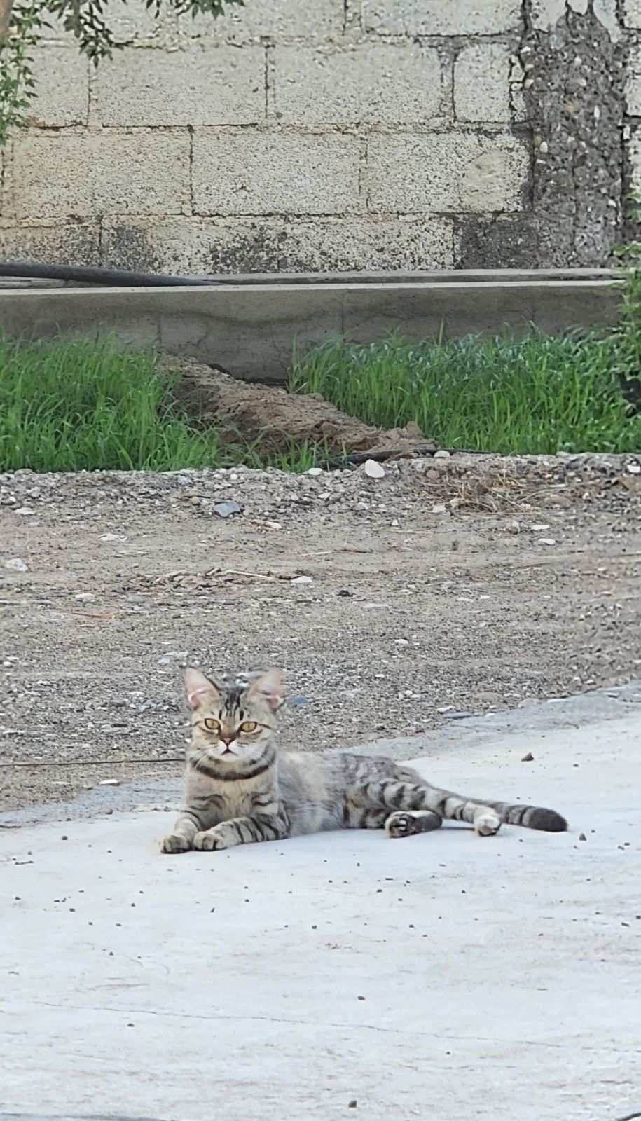 بدون اسم