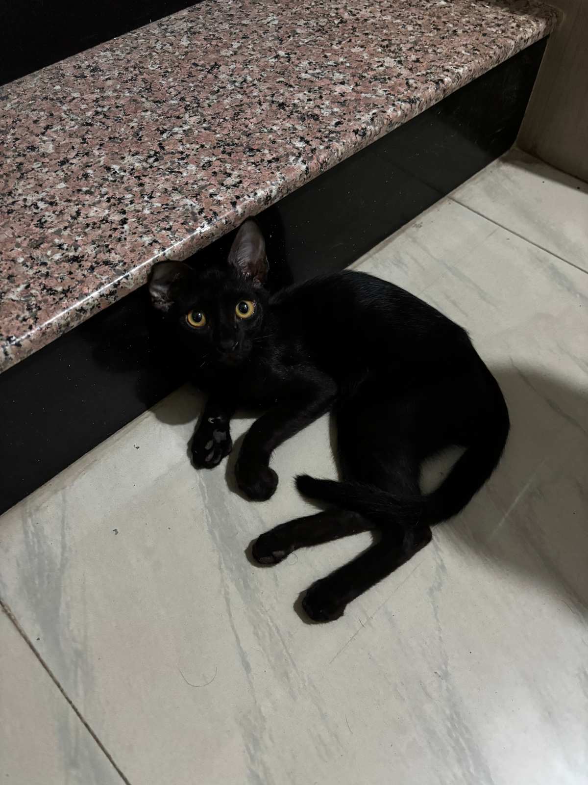 Toothless aka Void
